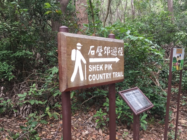 IMG_8896 Shek Pik Country Trail